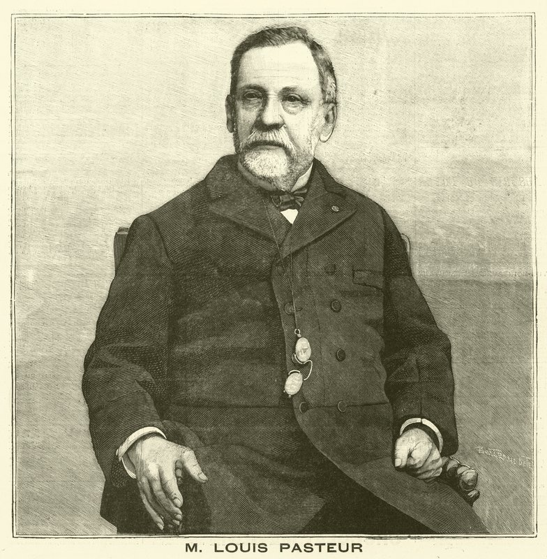 Louis Pasteur, fransk mikrobiolog (gravyr) av French School