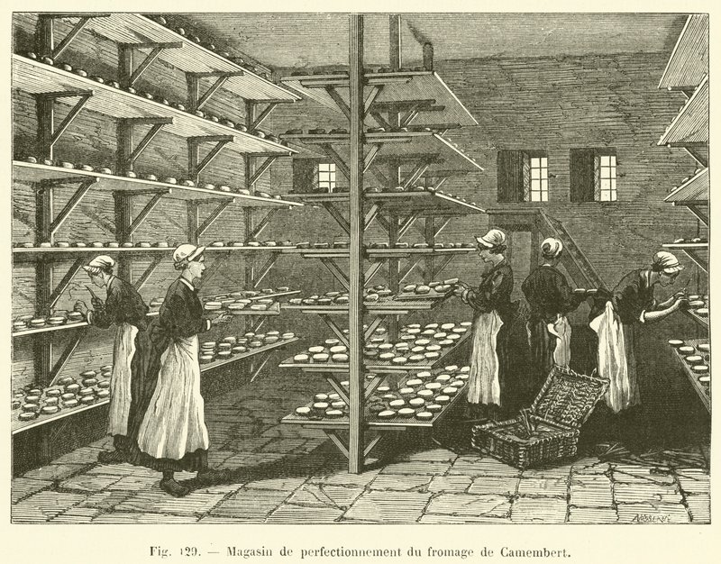 Camembert ostförbättringsbutik (gravyr) av French School