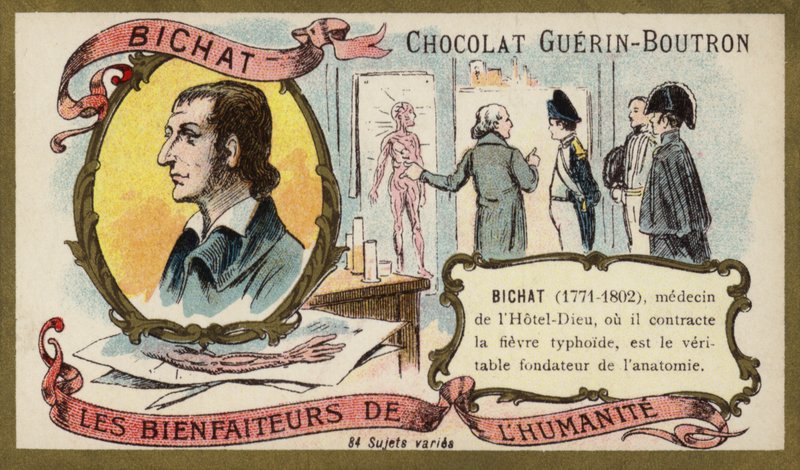 Marie Francois Xavier Bichat, fransk fysiolog och anatom (chromolitho) av French School