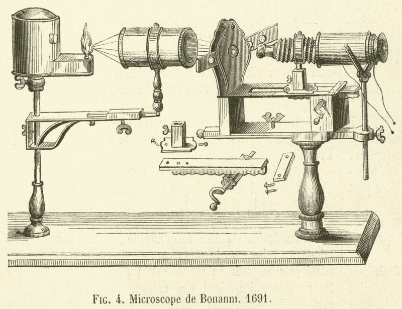 Microscope de Bonanni av French School
