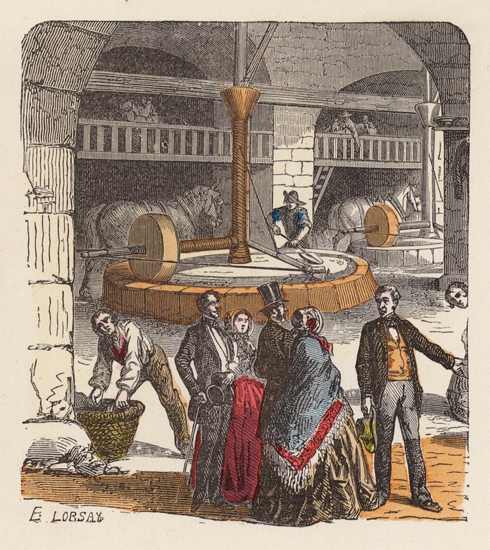 Olivolja produktion (färgad gravyr) av French School