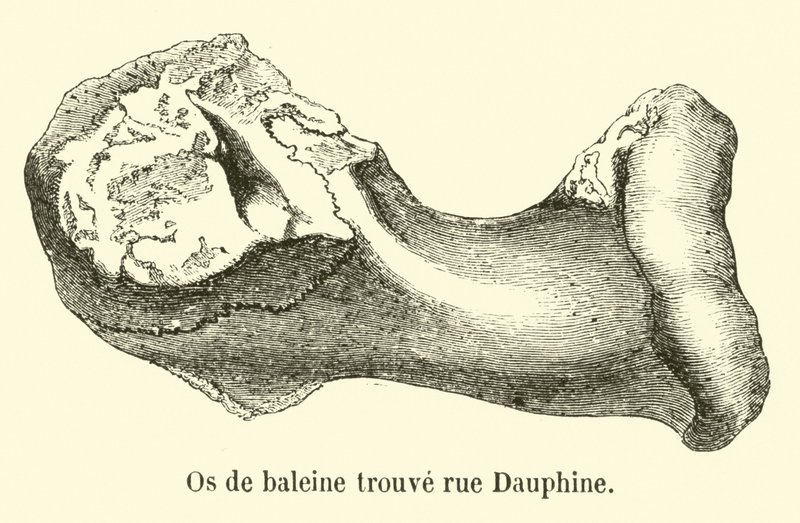 Valben hittat rue Dauphine av French School