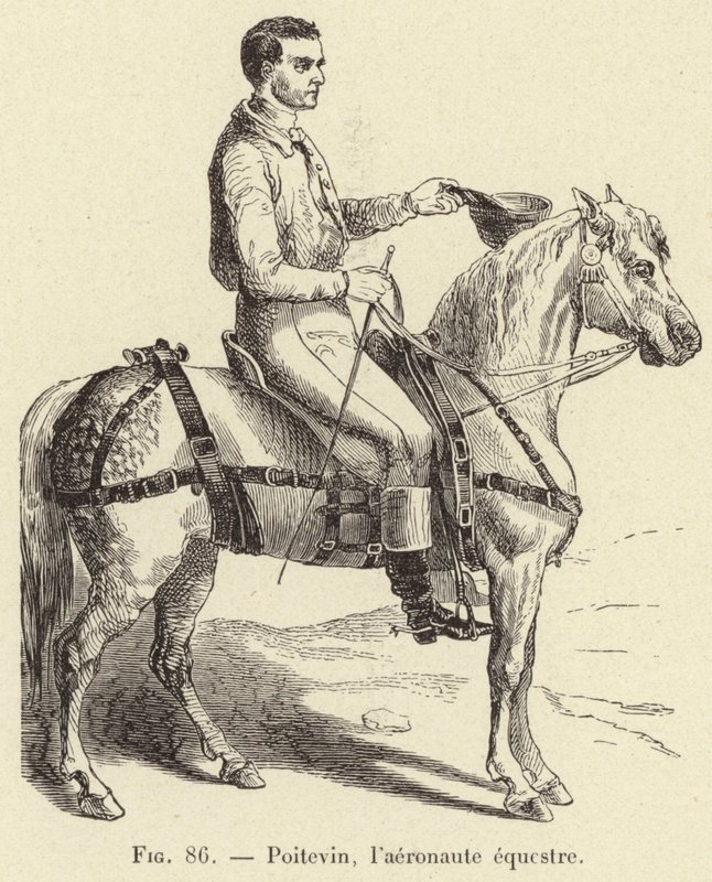 Poitevin, ryttarflygaren (gravyr) av French School