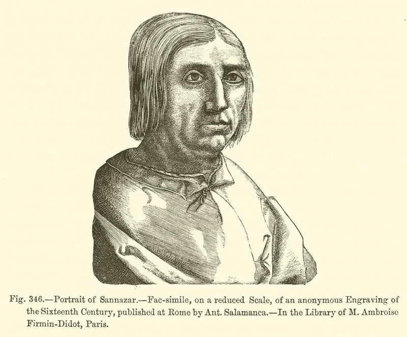 Porträtt av Sannazar (gravyr) av French School