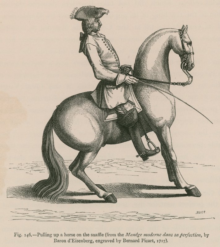 Dra upp en häst på Snaffle (från Manege moderne dans sa perfection, av Baron dEisenberg, graverad av Bernard Picart, 1727) av French School