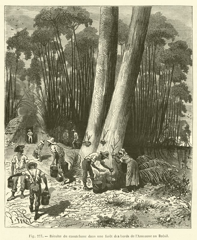 Skördar gummi i en skog på Amazonas strand i Brasilien av French School