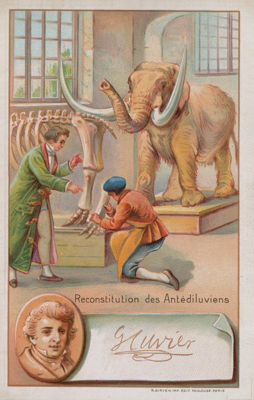 Rekonstruktion av den antediluvianska perioden av Georges Cuvier, fransk naturforskare och zoolog (1769-1832). av French School