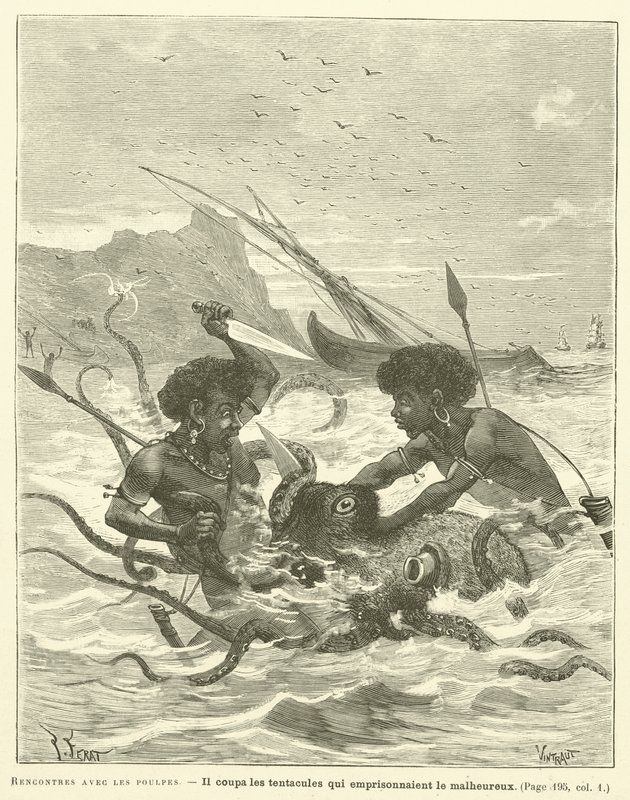 Möten med bläckfiskar (gravyr) av French School