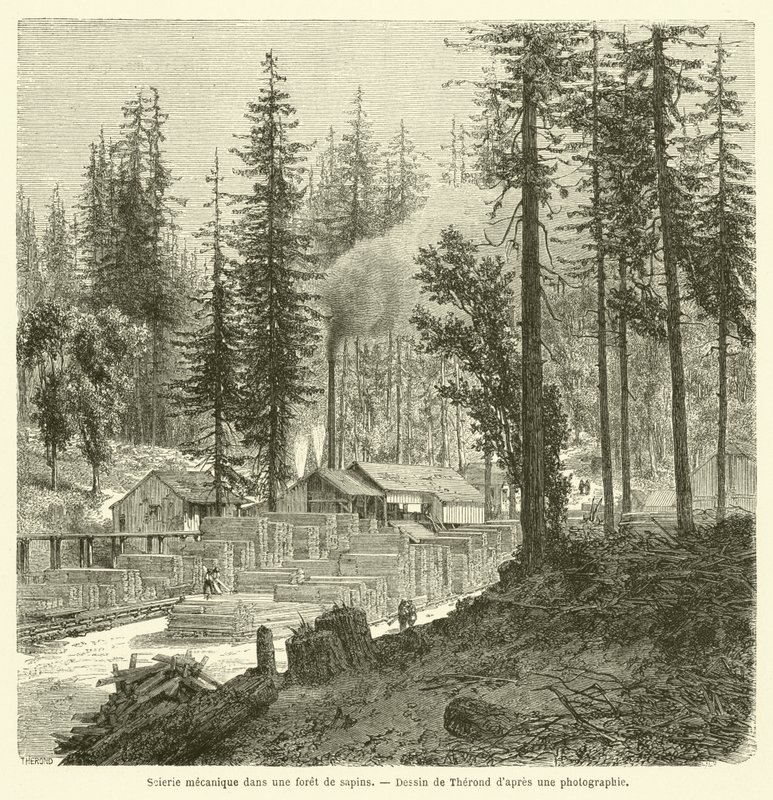 Mekaniskt sågverk i en granskog (gravyr) av French School