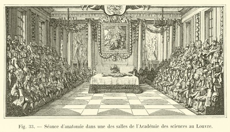 Anatomisession i ett av rummen på Vetenskapsakademien vid Louvren av French School