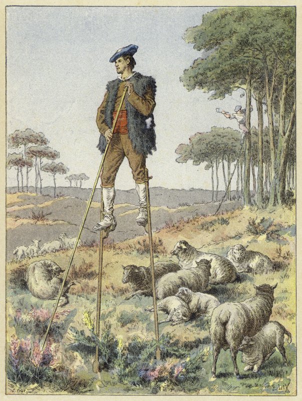 Herde på styltor, Landes, Frankrike av French School