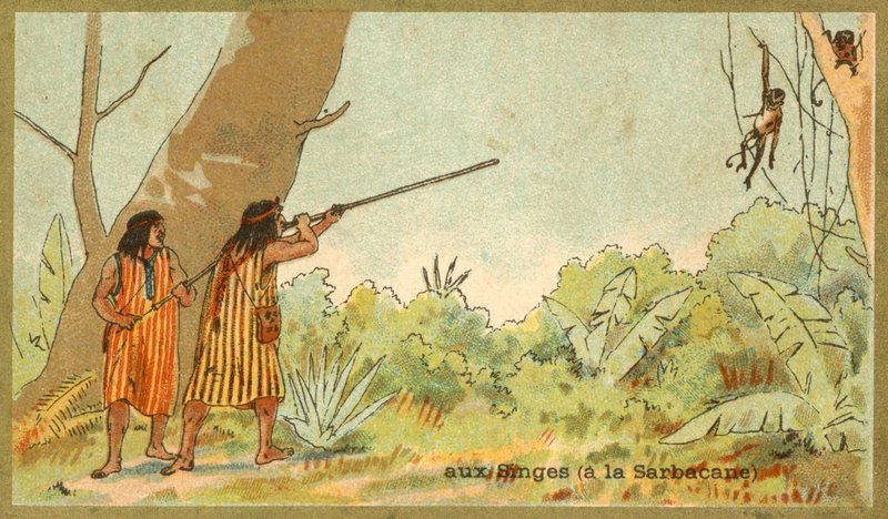 Sydamerikanska indianer som jagar apor med blåsrör (chromolitho) av French School