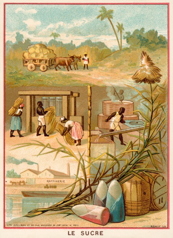 Socker (chromolitho) av French School