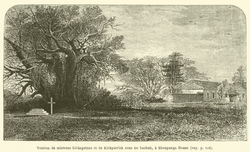 Gravar av Mrs Livingstone och Kirkpatrick under ett baobabträd, vid Shoupanga House (gravyr) av French School