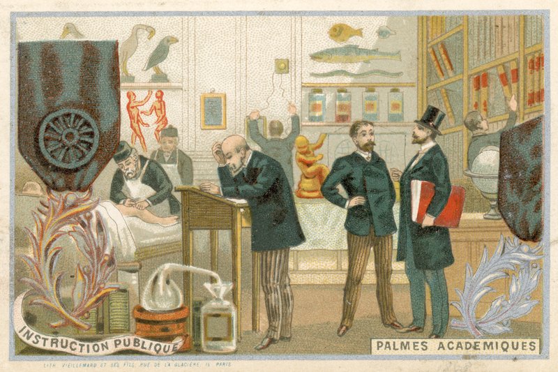 Byteskort med en bild av Ordre des Palmes Academiques av French School