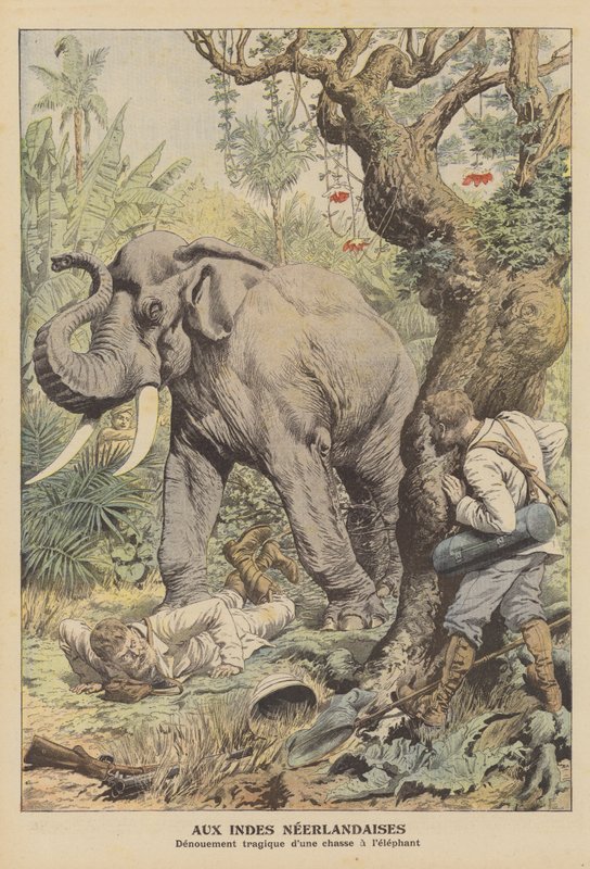 Tragiskt slut på en elefantjakt i Nederländska Ostindien (färg litho) av French School