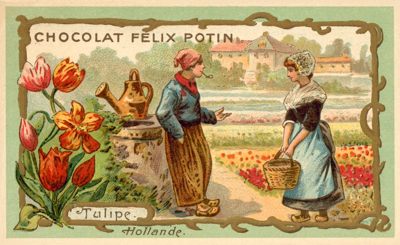 Tulpaner, Nederländerna (chromolitho) av French School