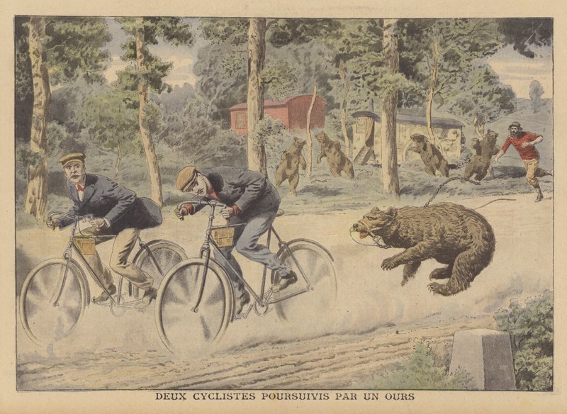 Två cyklister jagade av en förrymd björn (färg litho) av French School