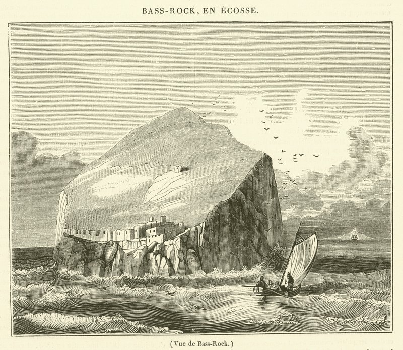 Vue de Bass-Rock (gravyr) av French School