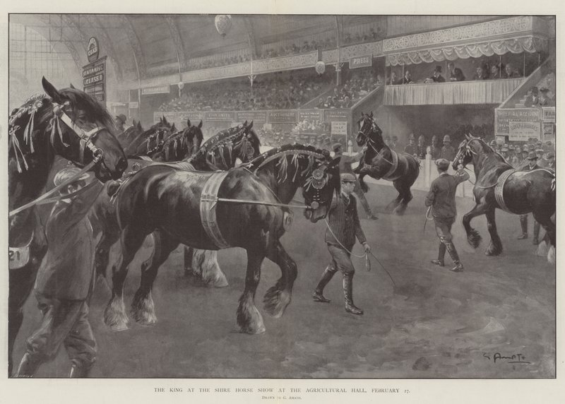 Kungen på Shire Horse Show i Lantbrukshallen, 27 februari av G.S. Amato