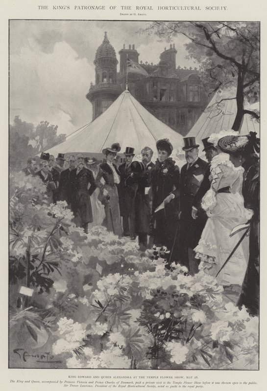 Konungens beskydd av Royal Horticultural Society av G.S. Amato