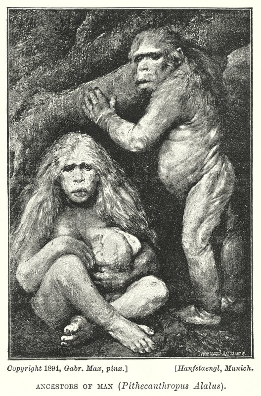 Människans förfäder, Pithecanthropus Alalus (litho) av Gabriel Max