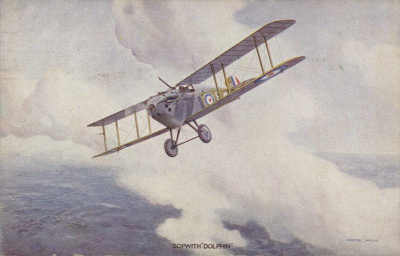 Sopwith Dolphin jaktplan (färg litho) av Geoffrey (after) Watson