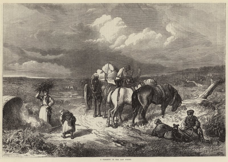 En glänta i den nya skogen av George Bouverie Goddard