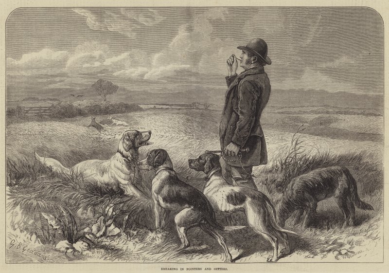 Att bryta in pekare och sättare av George Bouverie Goddard