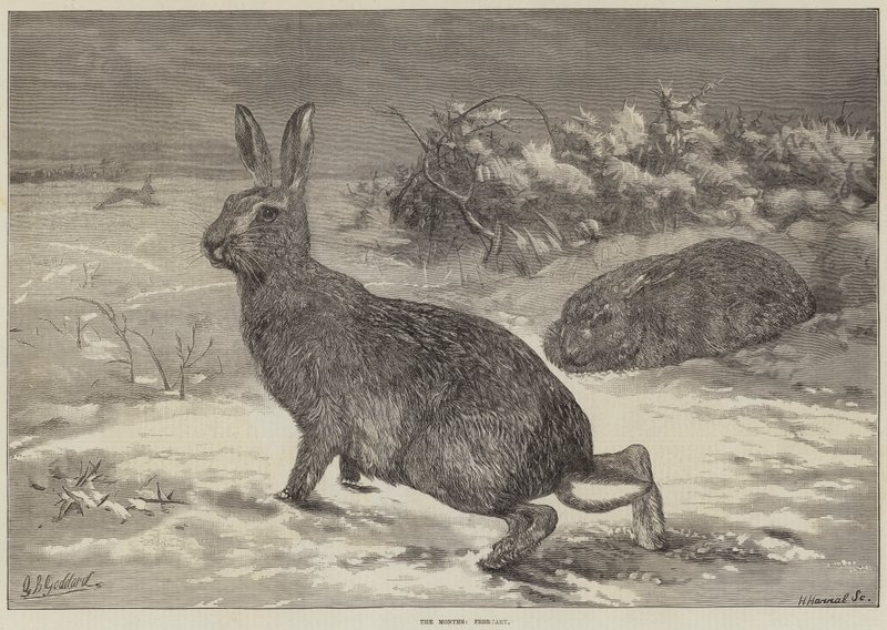 Månaderna, februari av George Bouverie Goddard