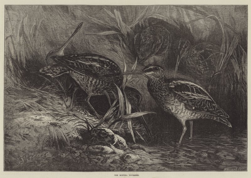 Månaderna, november av George Bouverie Goddard
