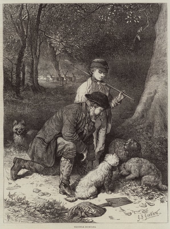 Tryffeljakt av George Bouverie Goddard