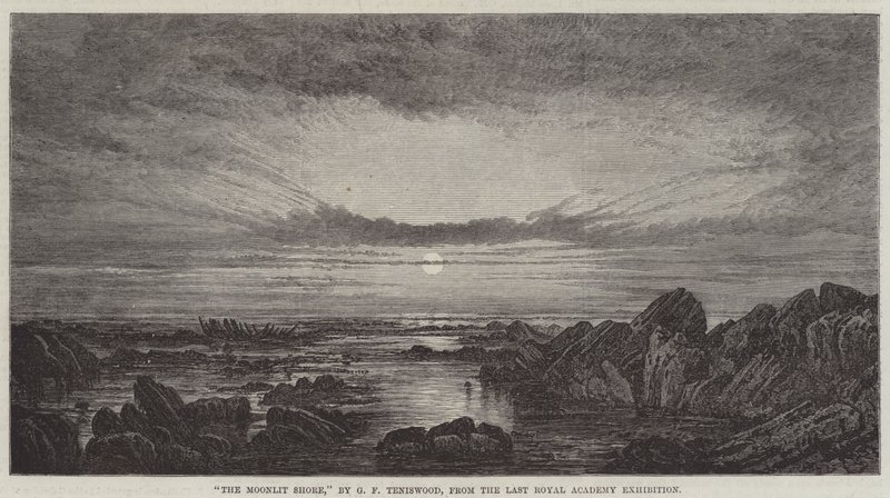 Den månbelysta stranden av George F. Teniswood