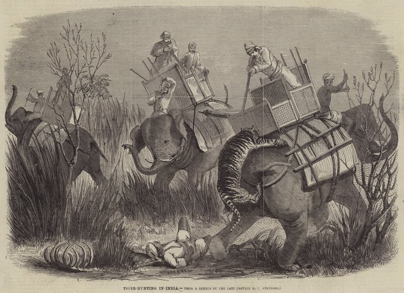 Tigerjakt i Indien av George Francklin Atkinson