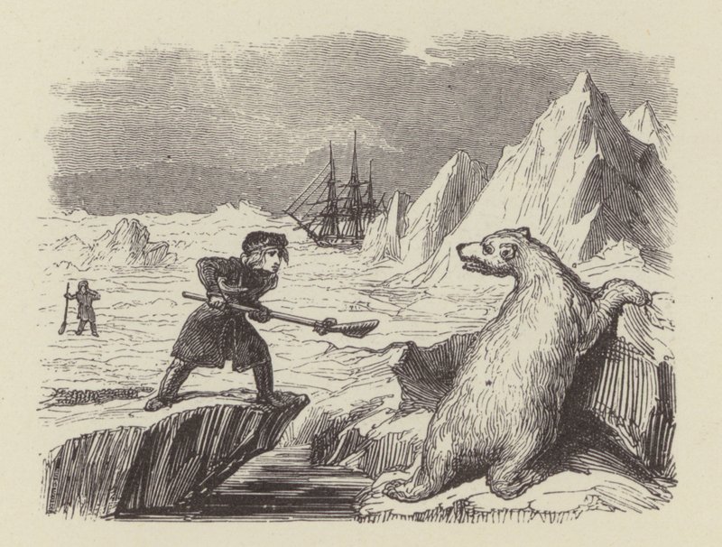 Den unge Nelson dödar en isbjörn (gravyr) av George (after) Cruikshank