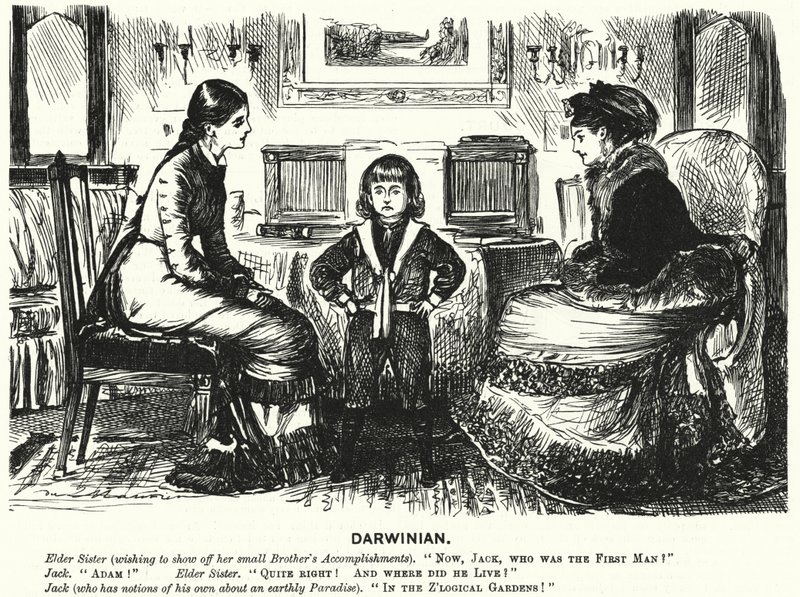 Punch tecknad: (gravyr) av George (after) Du Maurier