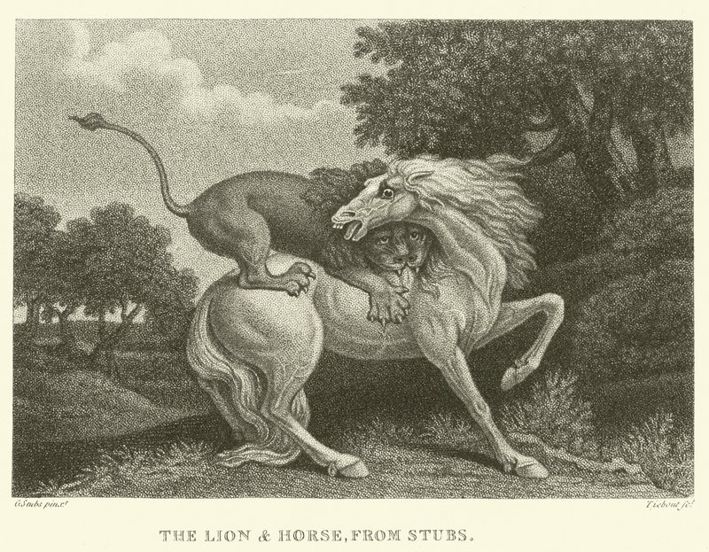 Lejonet och hästen, från Stubs (gravyr) av George (after) Stubbs