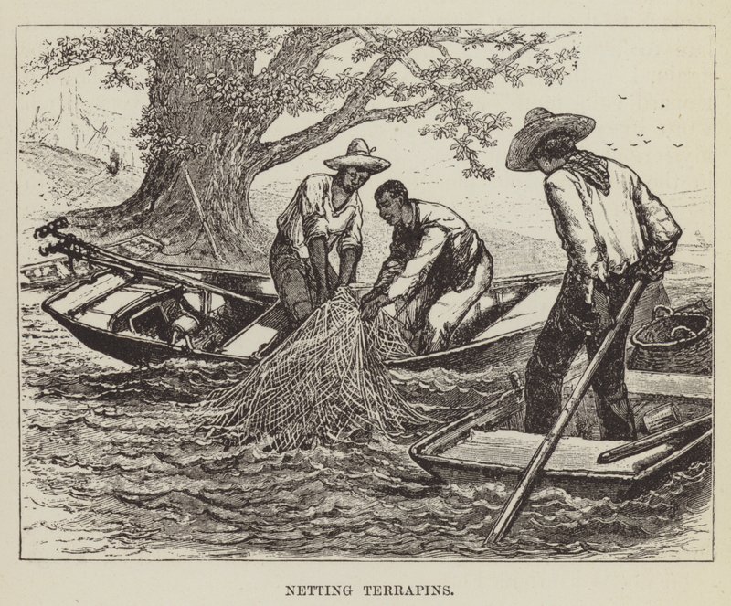 Nätterrapins av George Augustus Sala