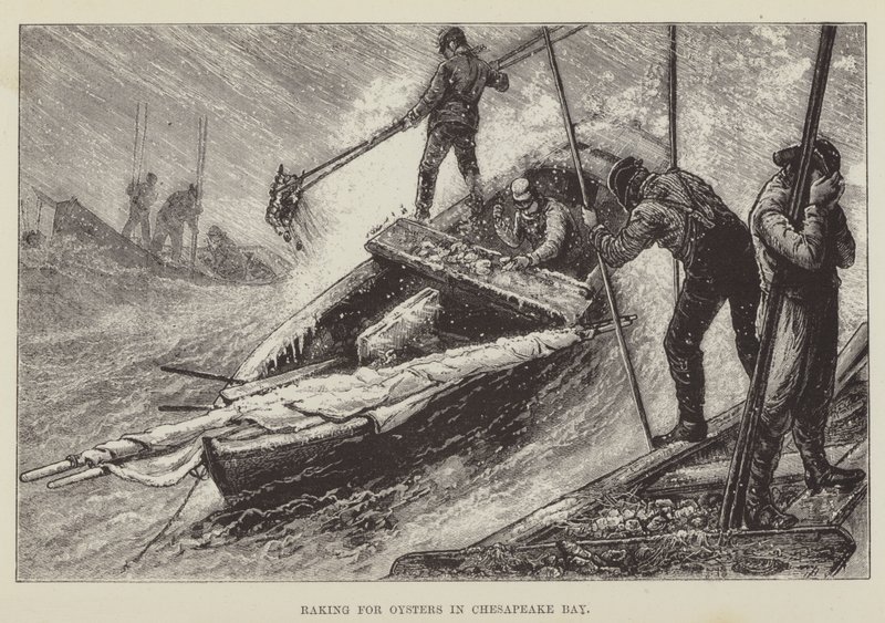 Raking för ostron i Chesapeake Bay av George Augustus Sala