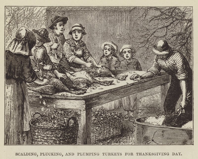 Skålla, plocka och fylla kalkoner till Thanksgiving Day av George Augustus Sala