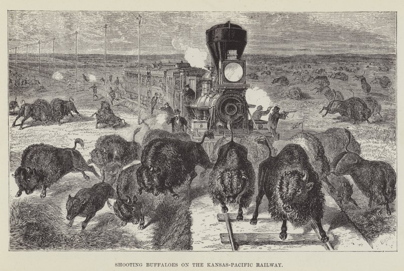 Att skjuta bufflar på Kansas-Pacific Railway av George Augustus Sala