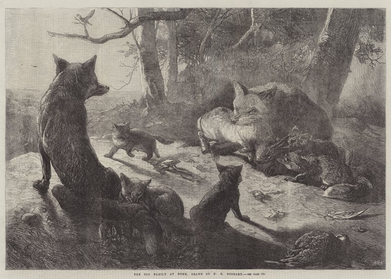 Familjen Fox hemma av George Bouverie Goddard