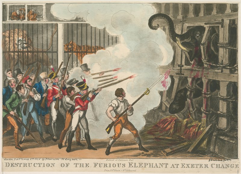 Förstörelse av den rasande elefanten vid Exeter Change, 1826 av George Cruikshank