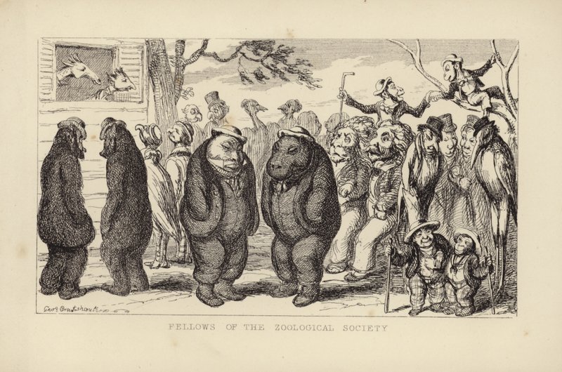 Fellows of the Zoological Society av George Cruikshank