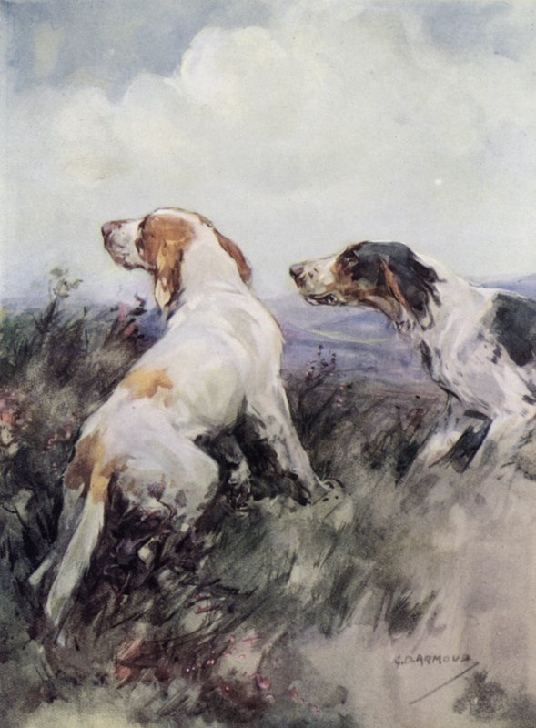 Setters (färg litho) av George Denholm Armour