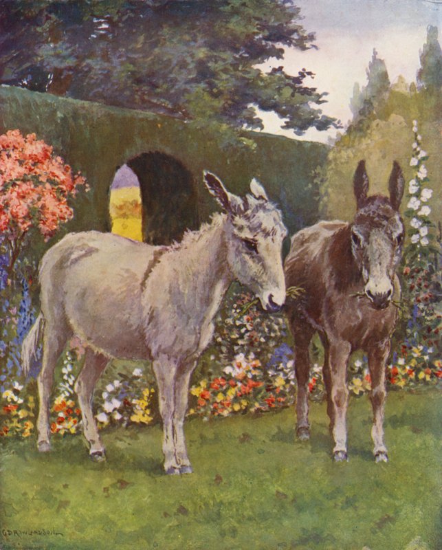 Neddy och Polly i trädgården (färglitografi) av George Derville (after) Rowlandson