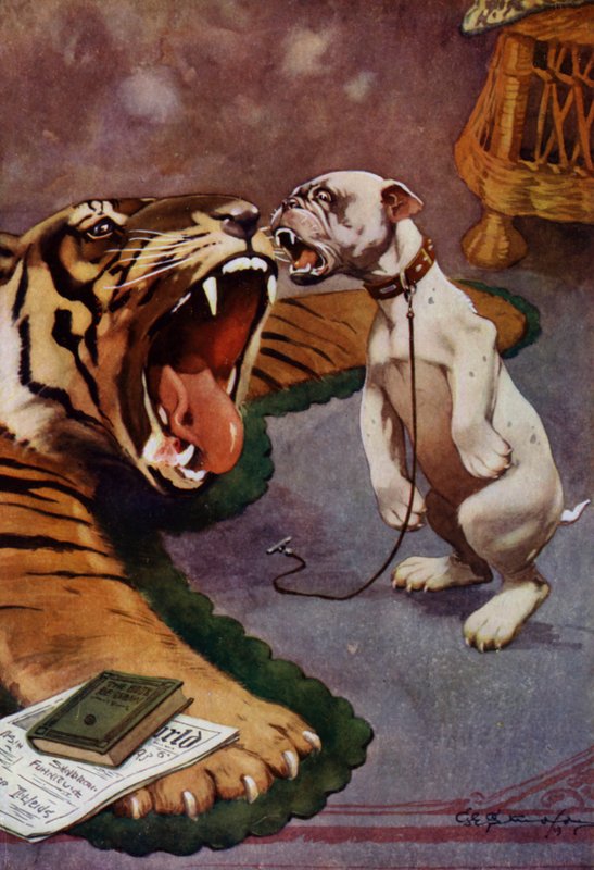 Tiger, Tiger - hund skäller på tigermatta (färg litho) av George Ernest (after) Studdy