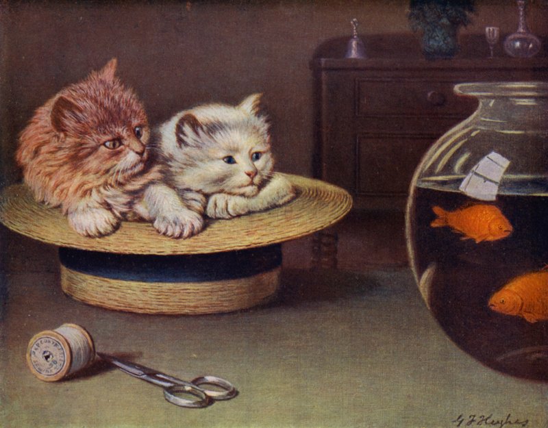 Tittar (färg litho) av George H. Hughes