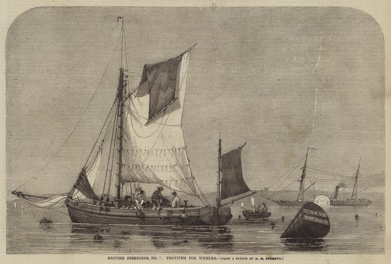 British Fisheries, nr 7, trav för Whelks av George Henry Andrews
