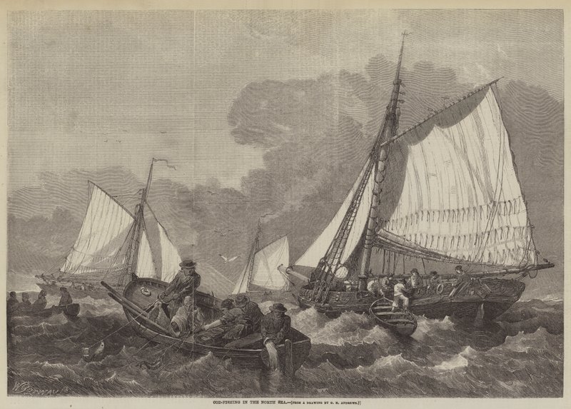 Torskfiske i Nordsjön av George Henry Andrews
